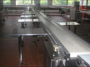 食品輸送線報價與廠家選擇指南，助力電子產品銷售企業優化供應鏈